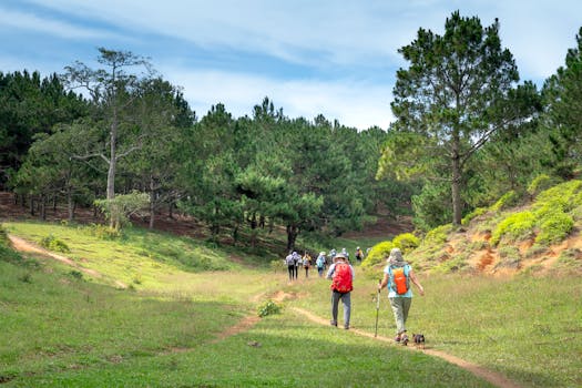 a serene nature walk to clear the mind