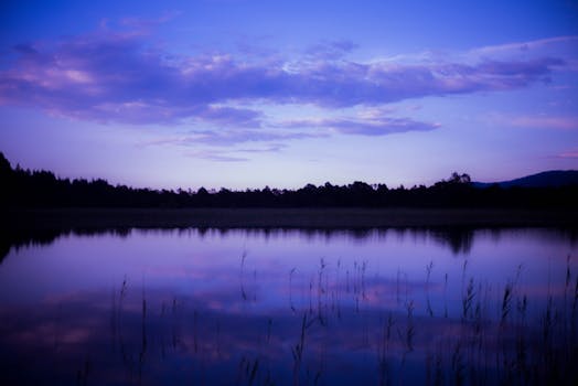 calm nature scene symbolizing peace