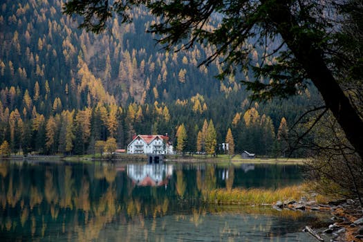 A peaceful nature scene with a tranquil lake