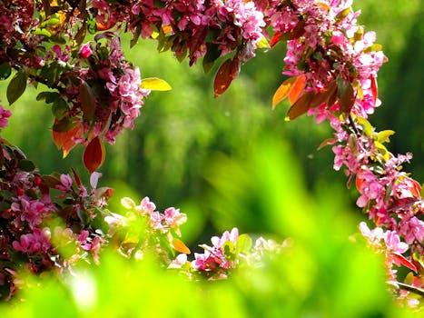 a beautiful garden filled with colorful flowers