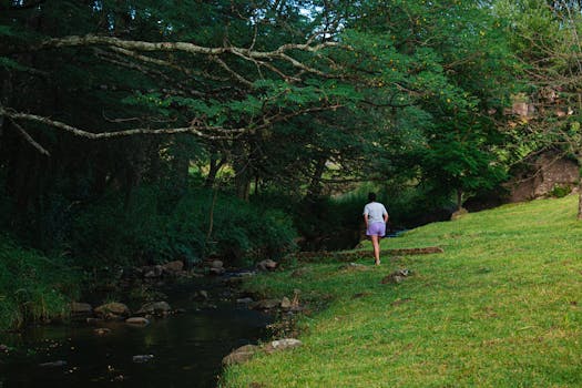 calm nature scene for relaxation