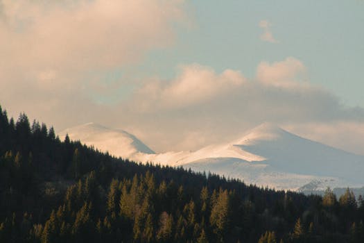 a serene landscape showing mountains and trees