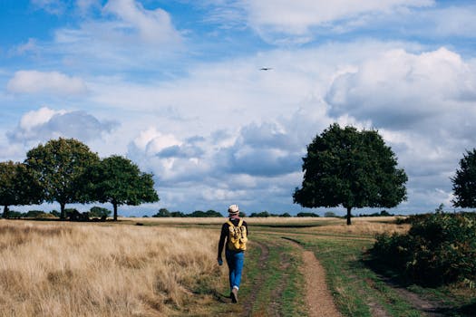 nature setting with a peaceful path