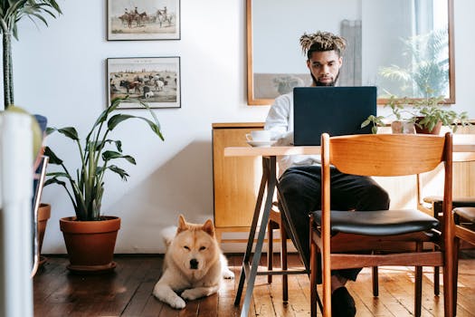 relaxing workspace with plants