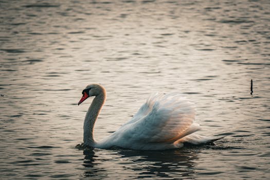 serene nature scene